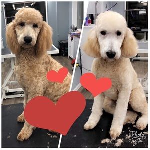 Meet your Posher, Candy